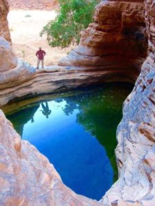 26197250_1670699502982610_2132985701_n