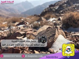 26553445_1800785506885699_1216924199_n