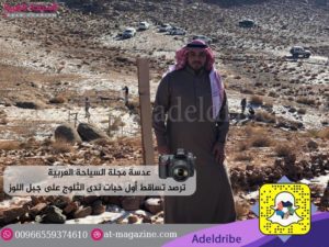 26553510_1800785516885698_1329527941_n