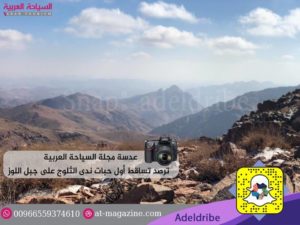 26648518_1800785540219029_1035783851_n