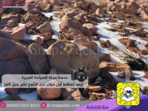 26694586_1800785493552367_1231420276_n