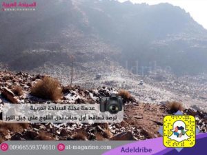 26753937_1800785476885702_357773737_n