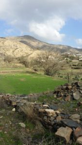 26994539_1806370259660557_1895954735_n