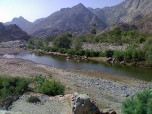 26994579_1806370852993831_1713716437_n