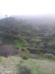 26994644_1806369879660595_795235904_n