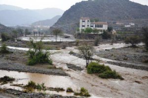 26995111_1806370796327170_1675075365_n