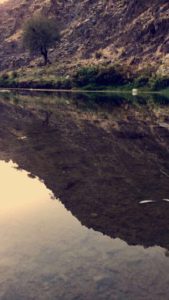 26995226_1806370512993865_1780567396_n