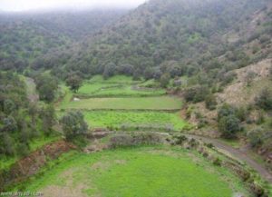 27042756_1806370919660491_790458050_n