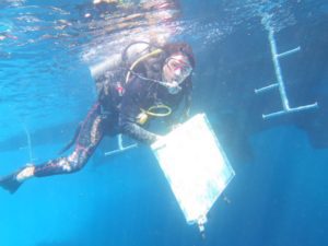 27042864_1805738043057112_1887795123_n