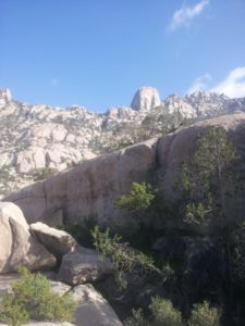 27042938_1806370009660582_26779983_n