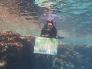 27045093_1805738286390421_1863660586_n