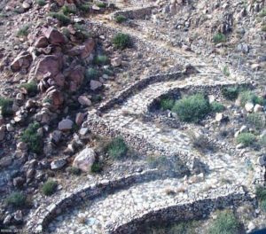 27157596_1808951026069147_1400413800_n