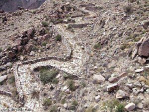 27157688_1808951109402472_103397100_n