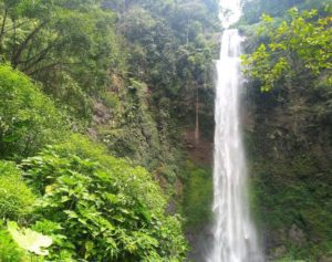 27292272_1808903886073861_1217686811_n