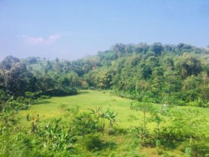 27294665_1808903652740551_1672218267_n