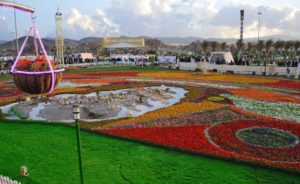 27394746_1808912909406292_1438064180_n