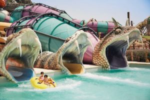 27394929_1809692692661647_2125507715_n