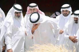 28109296_1817897631841153_734545936_n