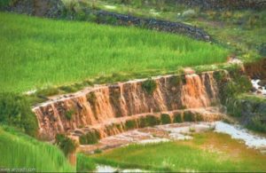 28175701_1817896915174558_1370718503_n