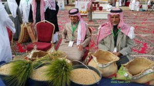 28175889_1817896988507884_1372351946_n