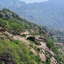 28176100_1817896781841238_1173984427_n