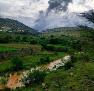 28236461_1817931401837776_499871442_n