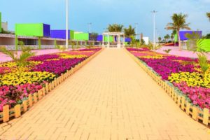 28535557_1824117661219150_1666021814_n