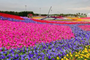 28741192_1824117581219158_364365061_n