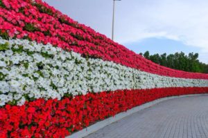 28829085_1824117534552496_1539811867_n