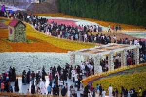 29137944_1830441533920096_1535731745_n