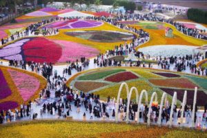 29138127_1830441467253436_287862543_n