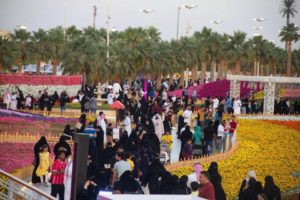 29340942_1830441277253455_464611532_n