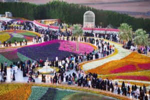 29341562_1830441223920127_1642441792_n