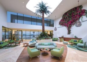 29345154_1832724927025090_1305750050_n