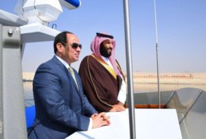 free-d_402514615178390601