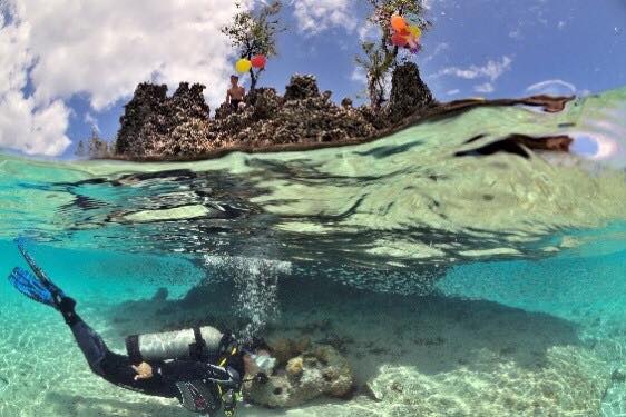 30019953_1838517193112530_1873189319_n