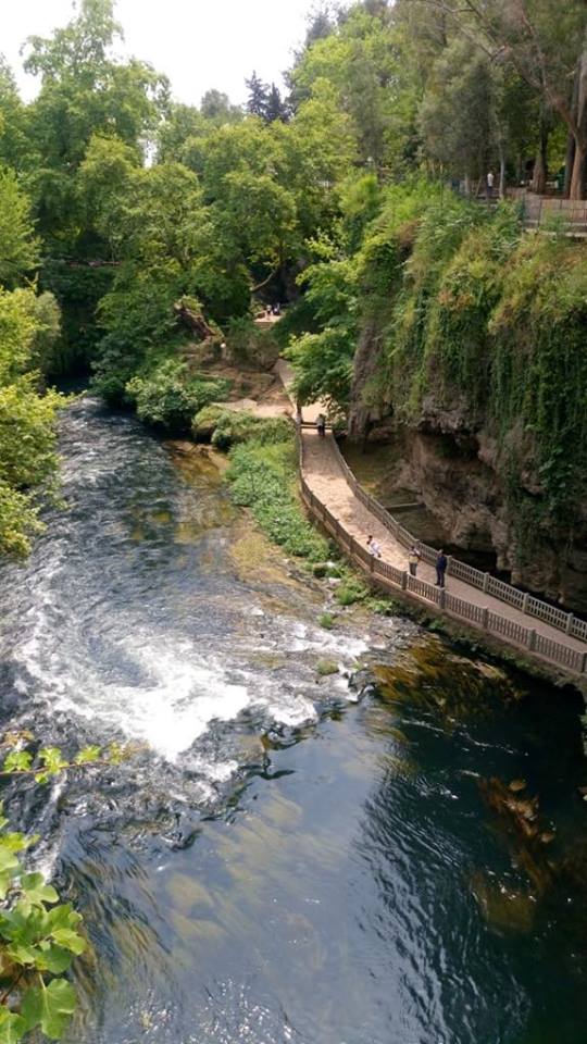 32846953_1854732984824284_1981421031012696064_n