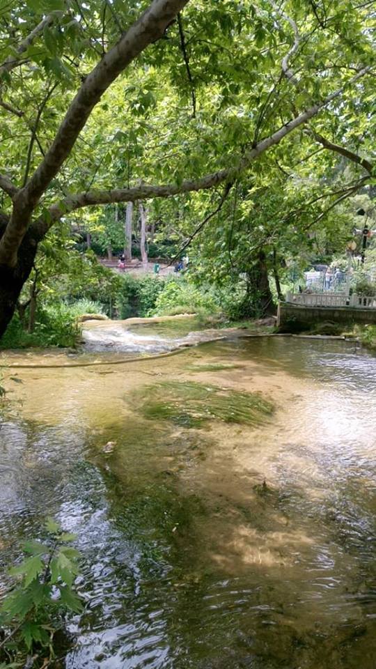 32859263_1854733011490948_4820785156908384256_n