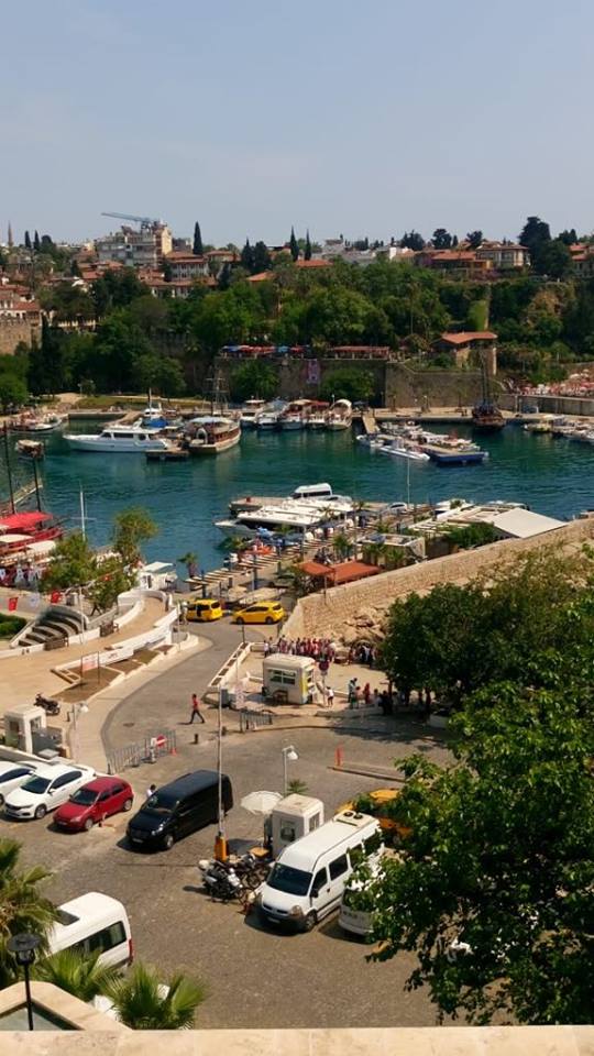 32860206_1854733054824277_8903316262277349376_n