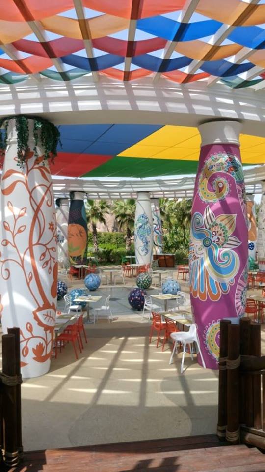 32965892_1854732921490957_6480552870193135616_n