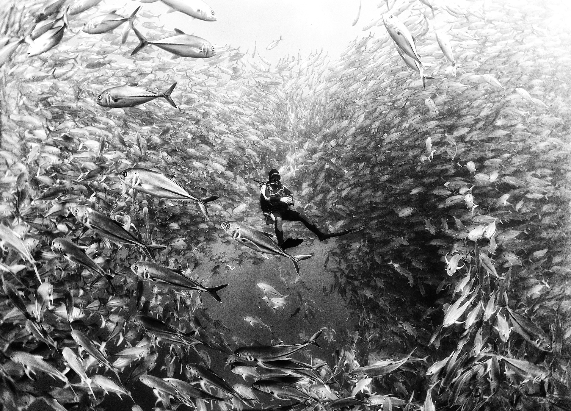 121-102330-underwater-in-black-and-white-2