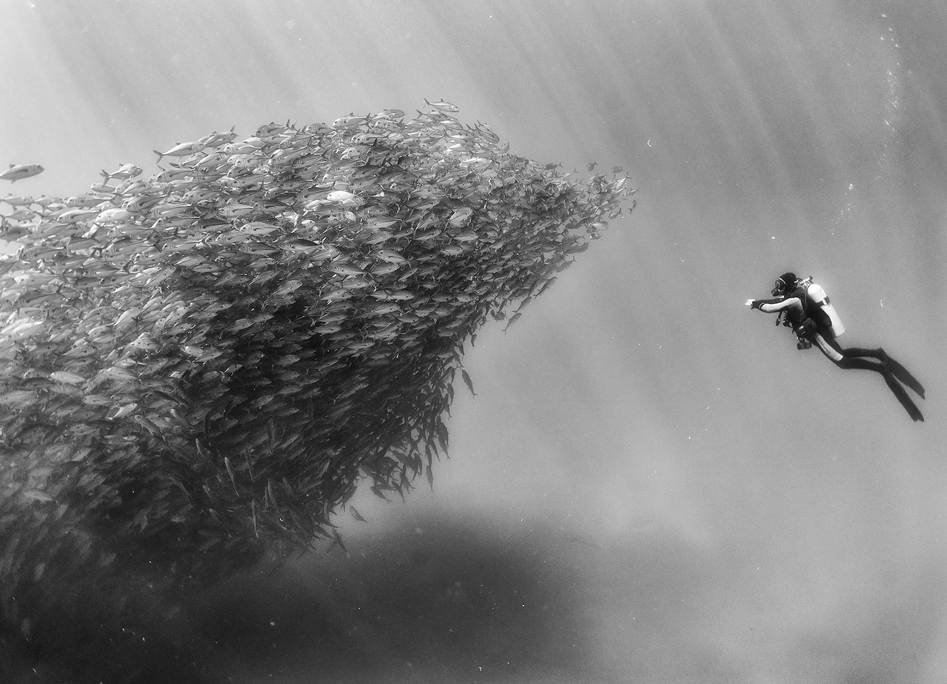 121-102330-underwater-in-black-and-white-3