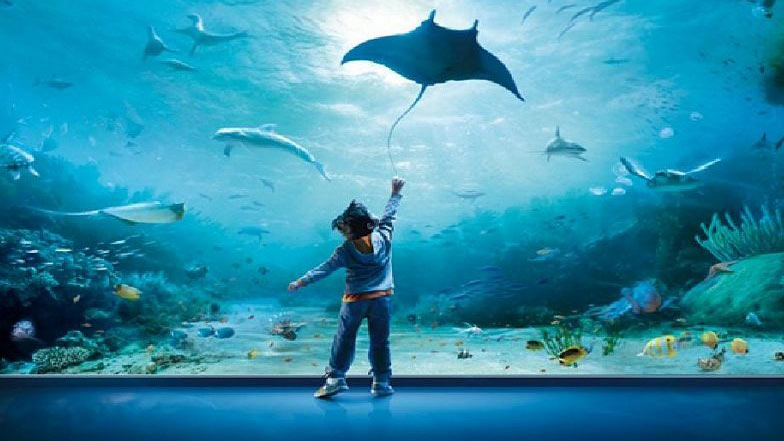 121-184022-italy-genoa-christopher-columbus-america-7