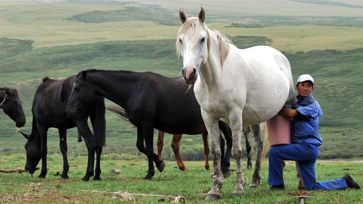 38212454_1912221499075432_2001650060688883712_n