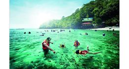 41367572_1230452123802898_6637442154295721984_n