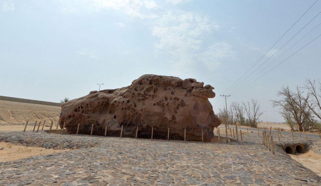 43415392_701885773514892_6911825238057549824_n