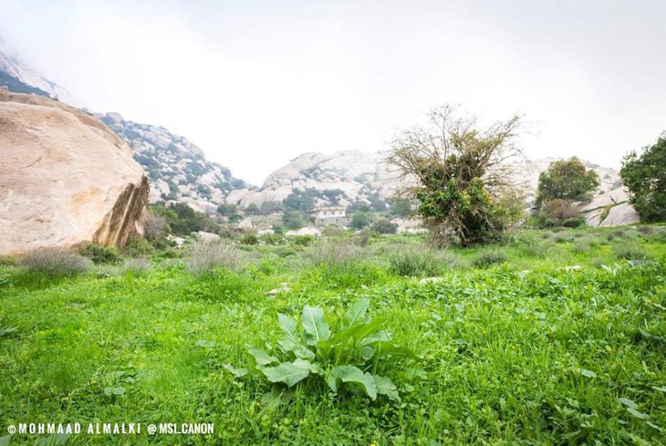 48369724_429026230967432_4685498471677952000_n