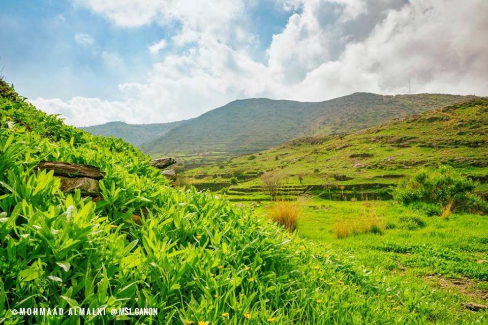 48372161_1195460247272340_2697984192037257216_n