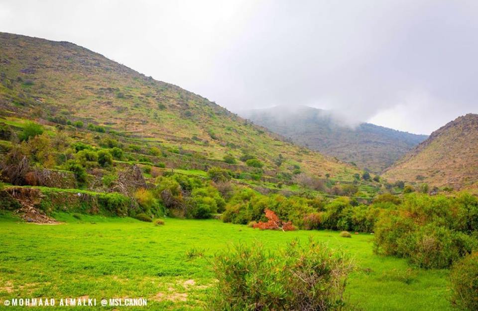 48378741_193981821466064_8282452561814880256_n