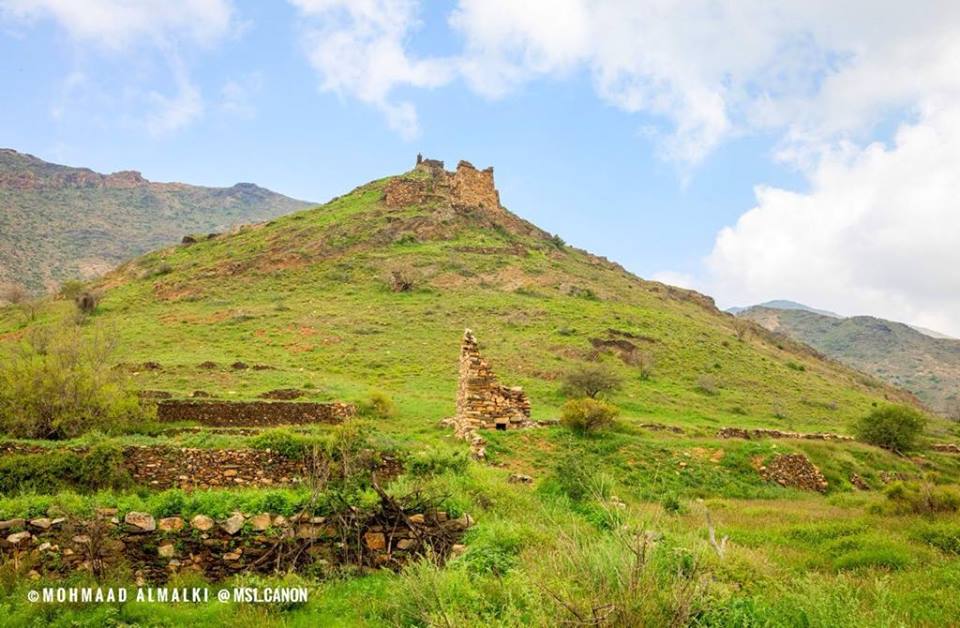 48378936_860328021025136_7846435320240275456_n